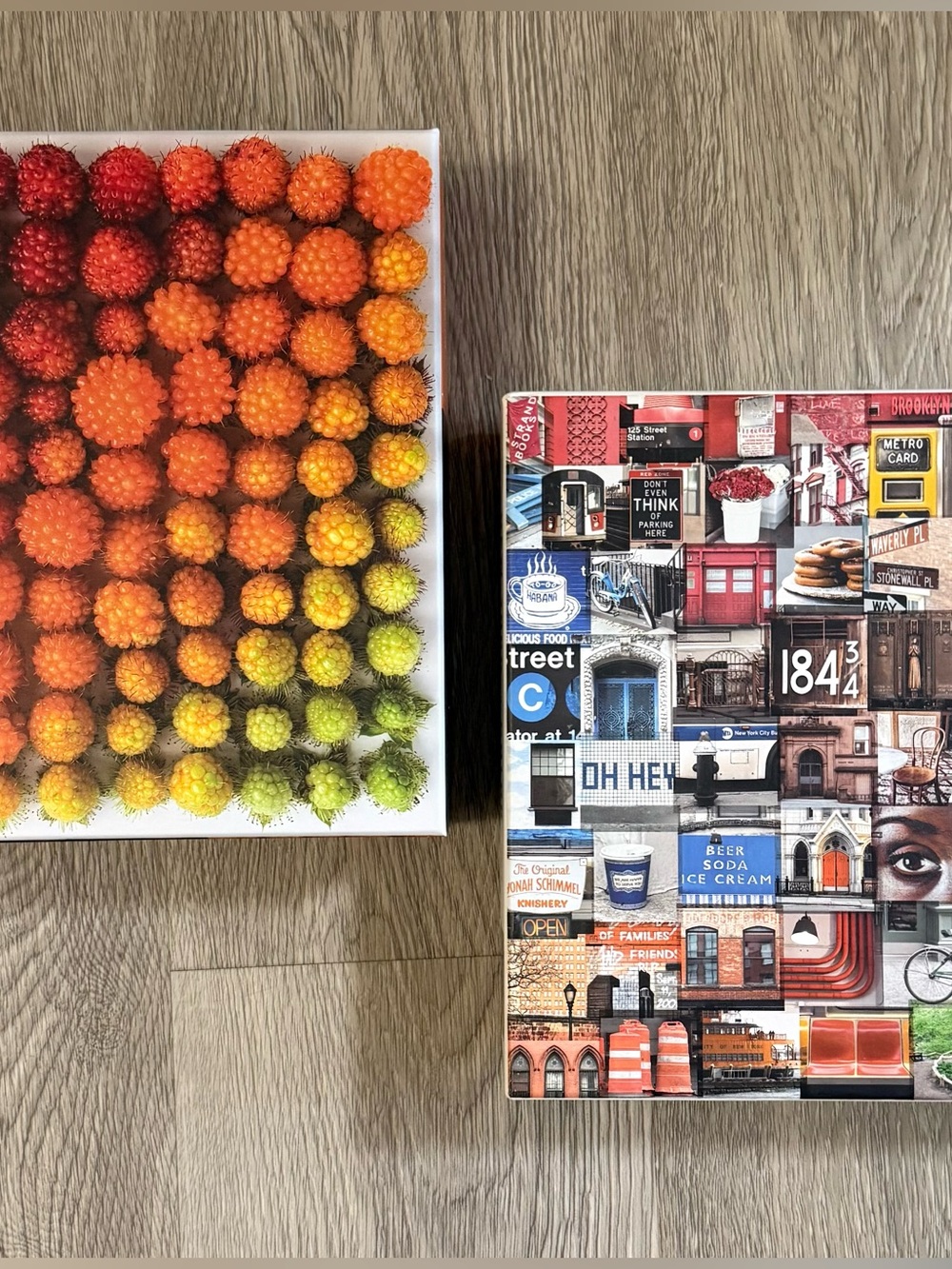 Galison New York in Color & Genuine Fred Salmonberries 500 Piece Puzzle Complete
